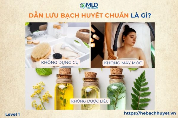 MLD là gì? Cơ sở khoa học và ranh giới ứng dụng chuẩn của dẫn lưu bạch huyết